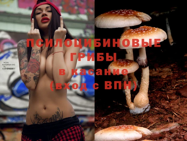 трава Вязники