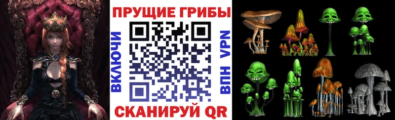 Галлюциногенные грибы Cubensis Печора