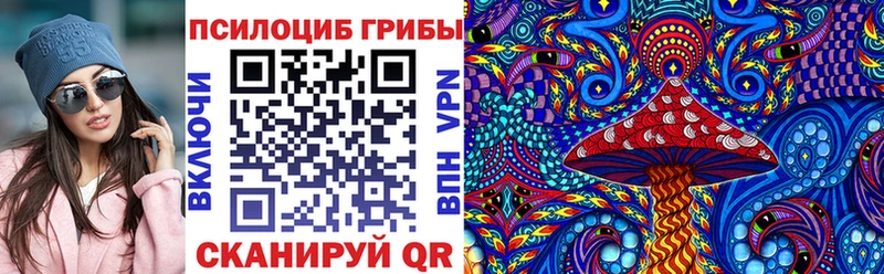 Галлюциногенные грибы Psilocybine cubensis  Печора 